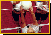 Image_SportsVolley